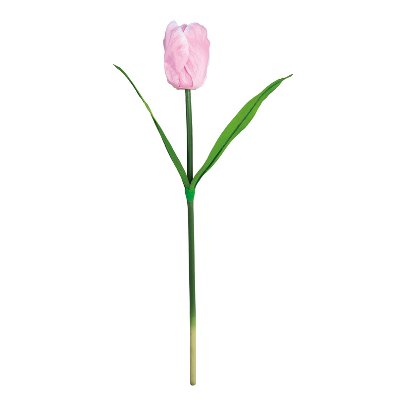 Tulpe, Ø 10cm, 70cm, Kunstseide