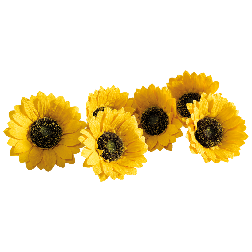 Sunflower blossoms, Ø 15cm 6 pieces in bag, out of paper