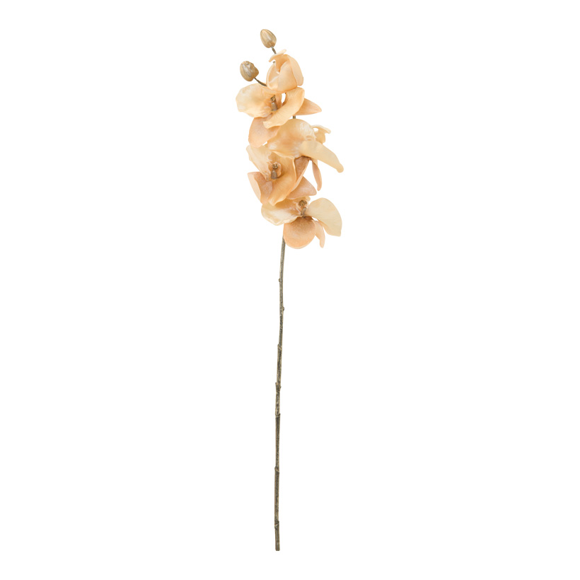 # Orchidee, 66cm aus Kunststoff/Kunstseide
