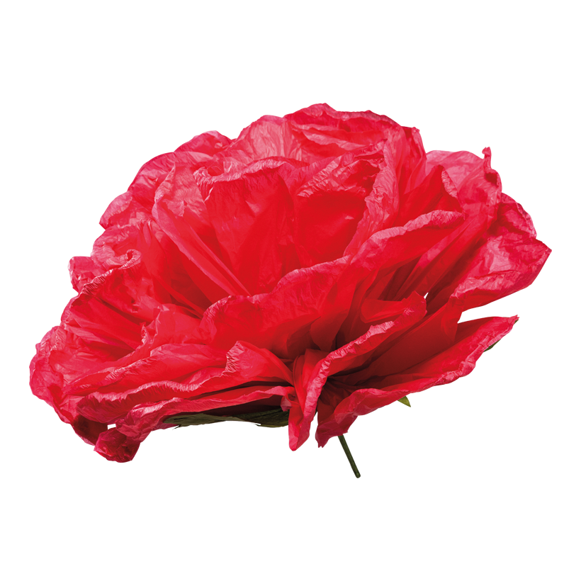 Rose head, 60cm Stiel: 19cm out of paper, flexible