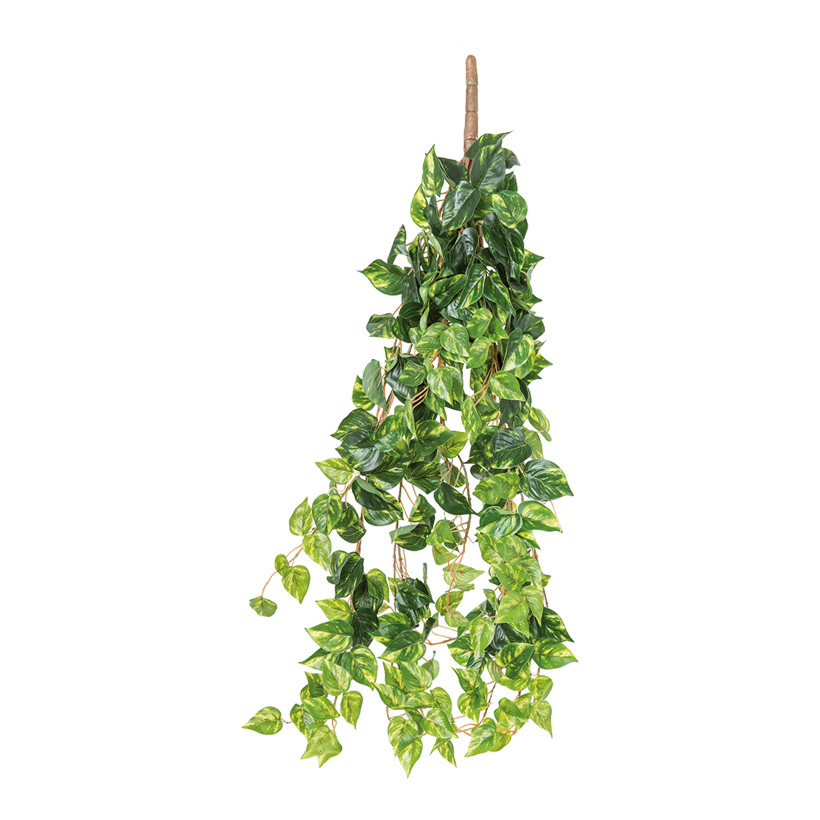Pothosblatt-Hänger, 80cm 13-fach