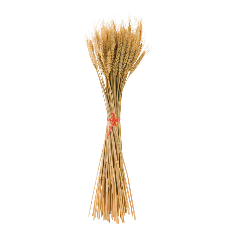 Weizenbündel, 50cm ca. 100 Halme, aus Naturmaterial, gebleicht