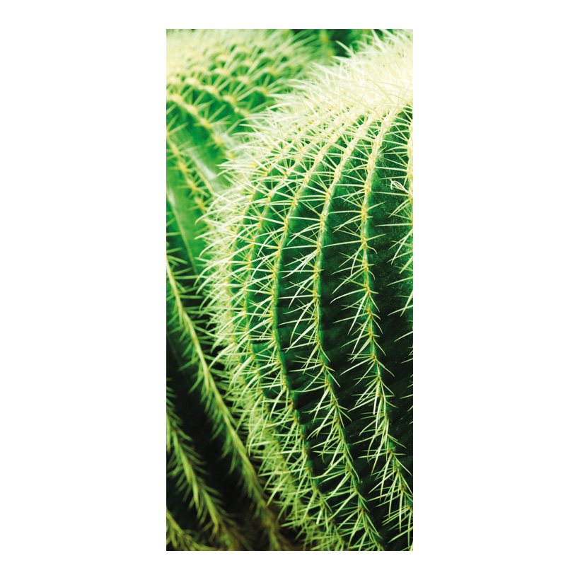 # Banner "Cactus", 180x90cm paper