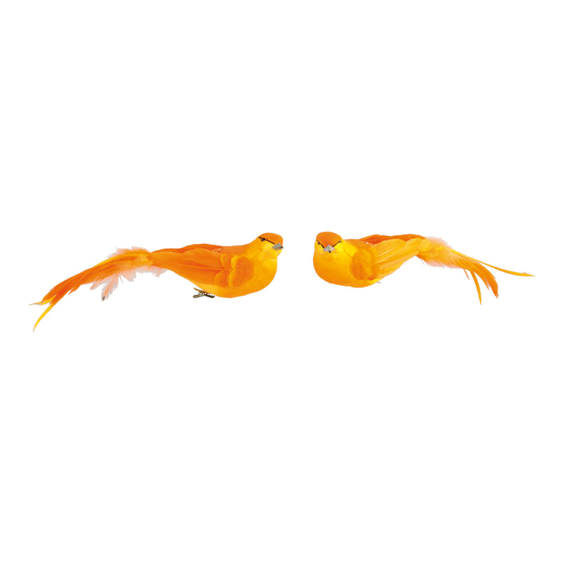 Birds with clip, 6x26cm, 2-fold assorted, styrofoam with feathers