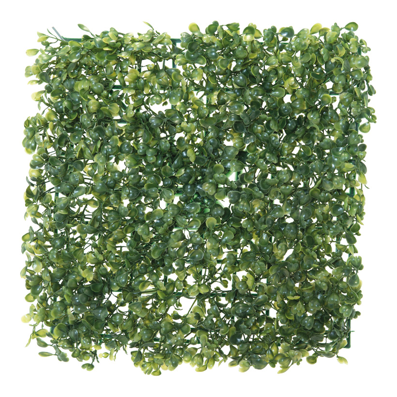 Boxwood tile, 25x25cm, plastic