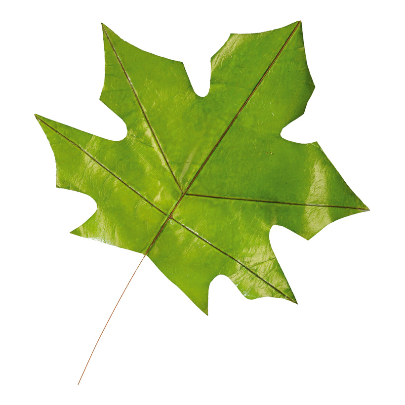 Maple leaf, 40cm, paper, stem made of metal