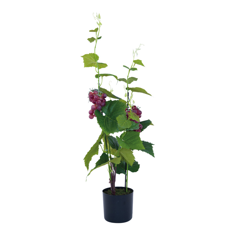 Grape plant in pot, 81cm Topf: 12,5x11,5cm out of plastic/artificial silk, in a pot, with red grapes