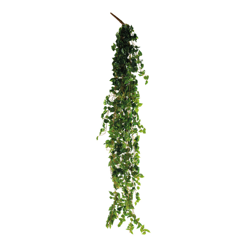 Pothos-Blatthänger, 200cm 13-fach