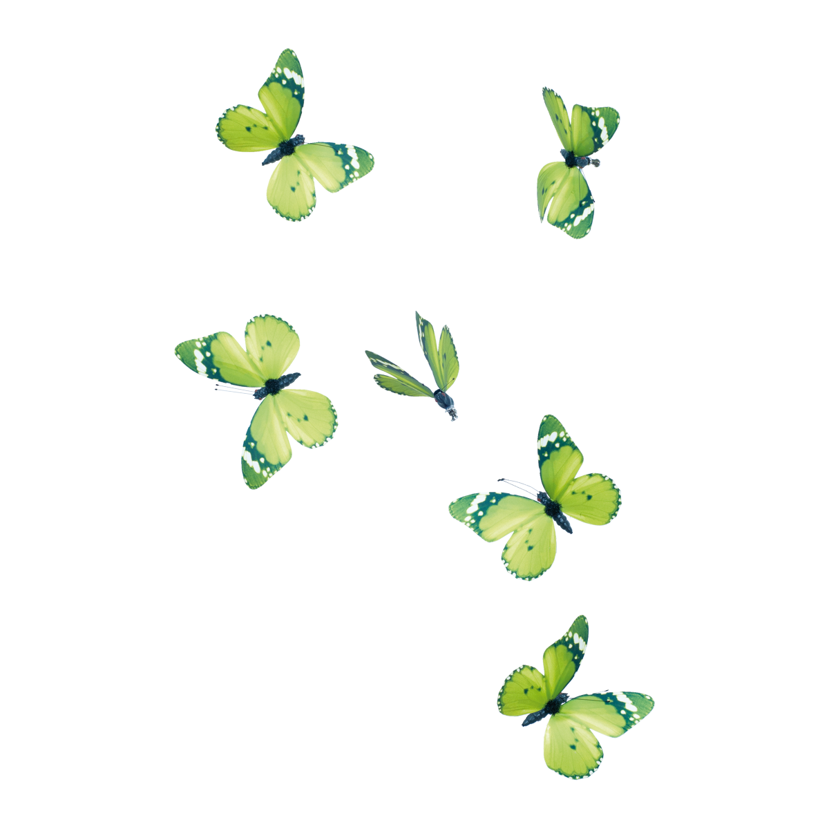 Butterfly with clip, 11cm, 6pcs./box, wings out of paper, body out of styrofoam