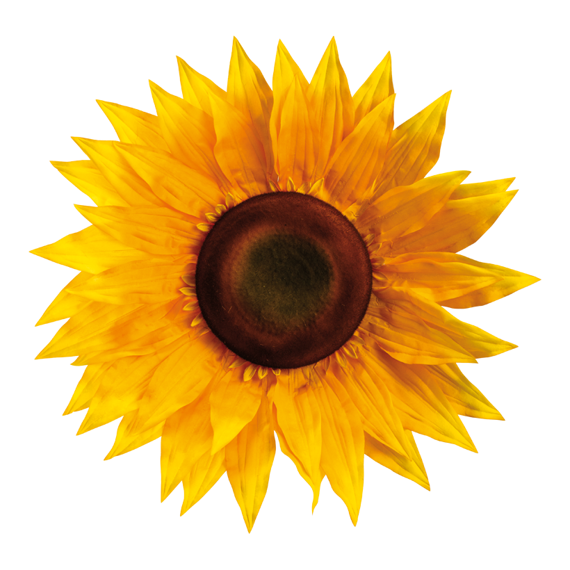 Sunflower head, ⌀ 63cm out of artificial silk, flexible