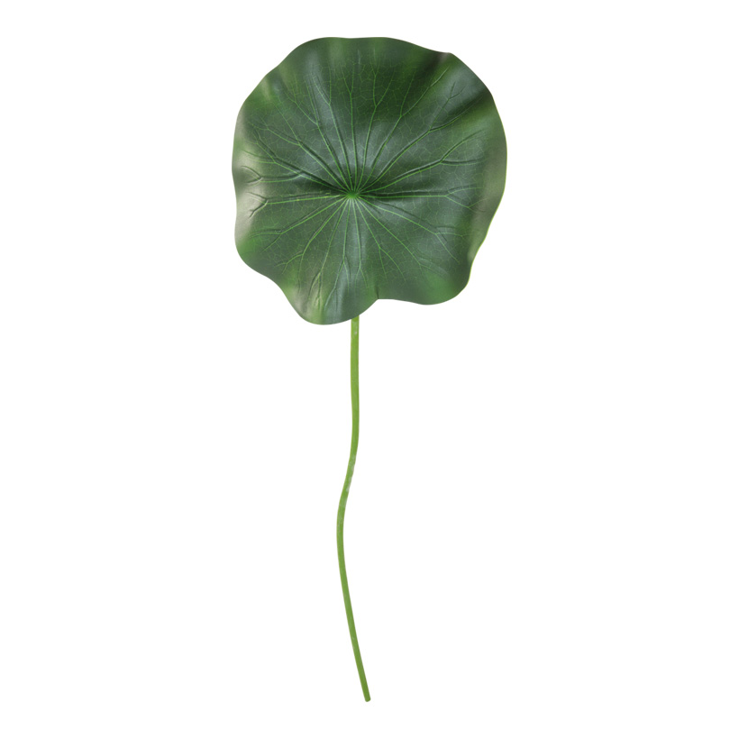 Feuille de nénufar avec tige, Ø 40cm, mousse, longueur environ 90cm