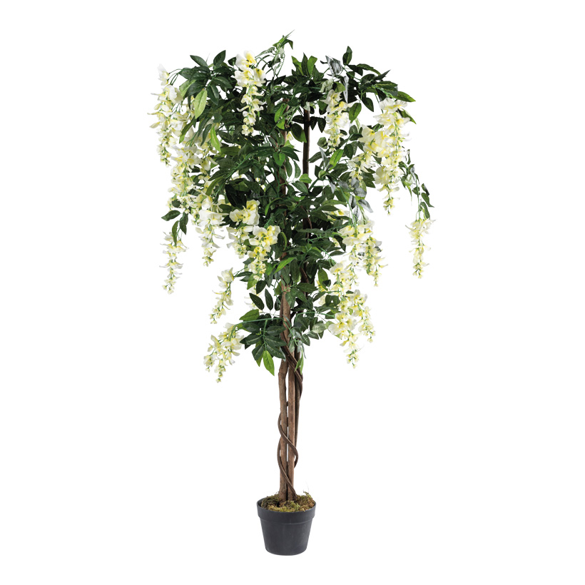 Cytise en pot, 150cm Höhe 13cm, Ø 17cm env. 840 feuilles, en plastique/soie synthétique,/bois