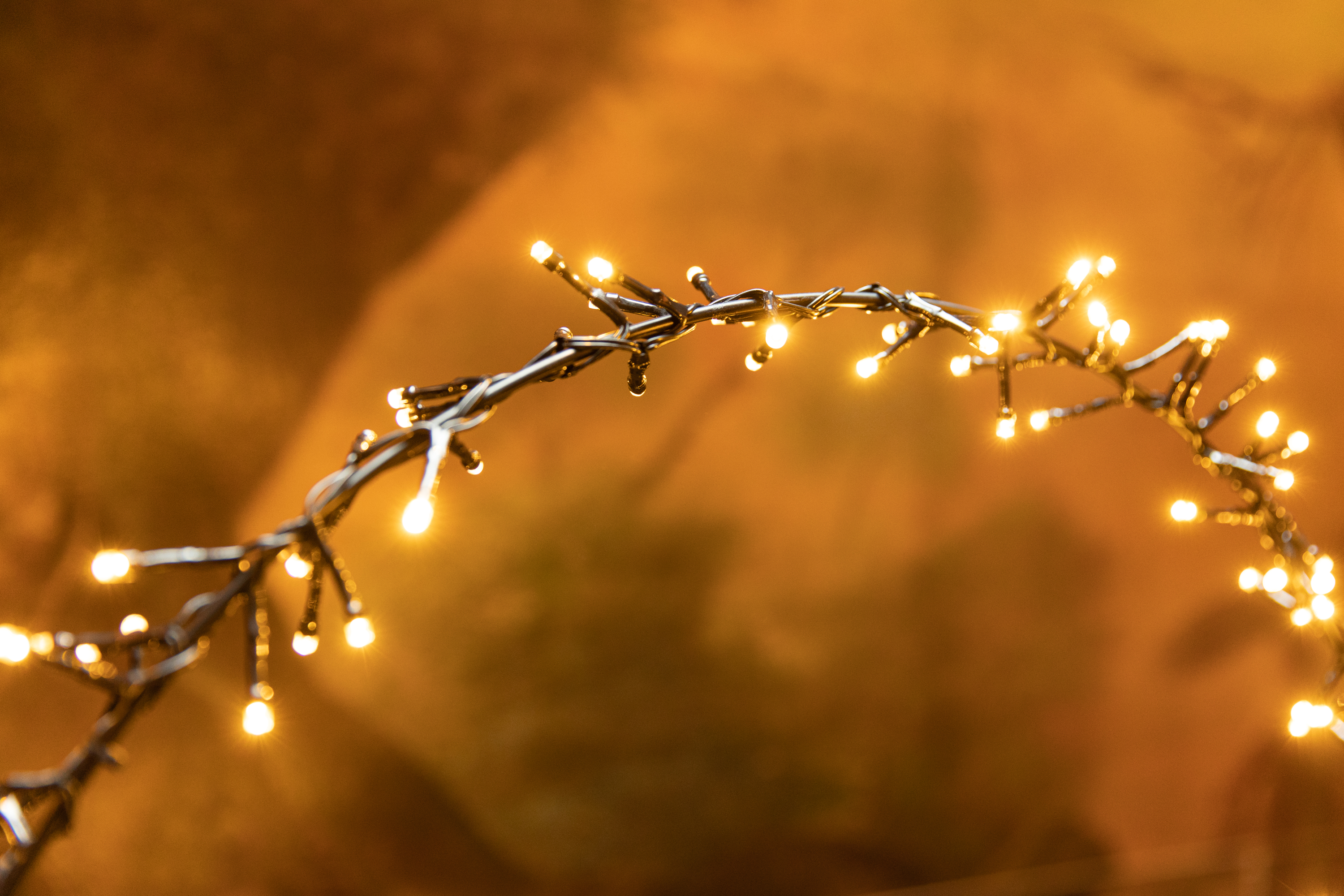 LIGHT