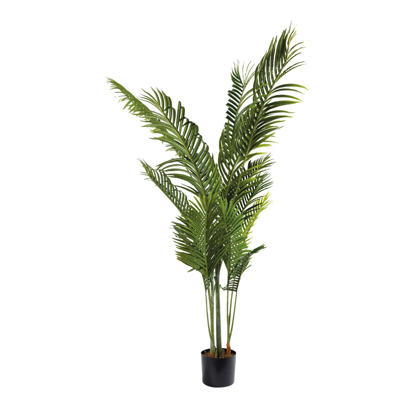 Areca palm, 170cm Topf: Ø15cm 17 leaves, out of plastic/artificial silk