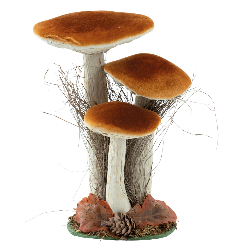 Boletus group, 27x19x10cm 3-fold, out of styrofoam