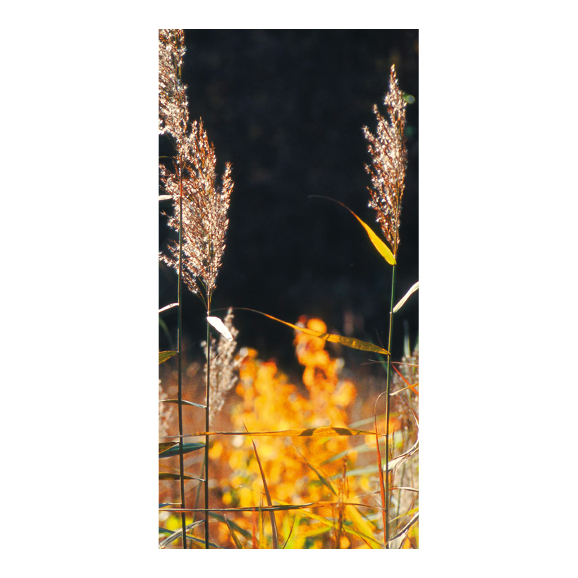 # Motivdruck "Schilfgras", 180x90cm Stoff