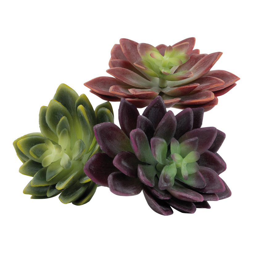 Succulents, 12x10cm 3 in set, out of plastic, assorted