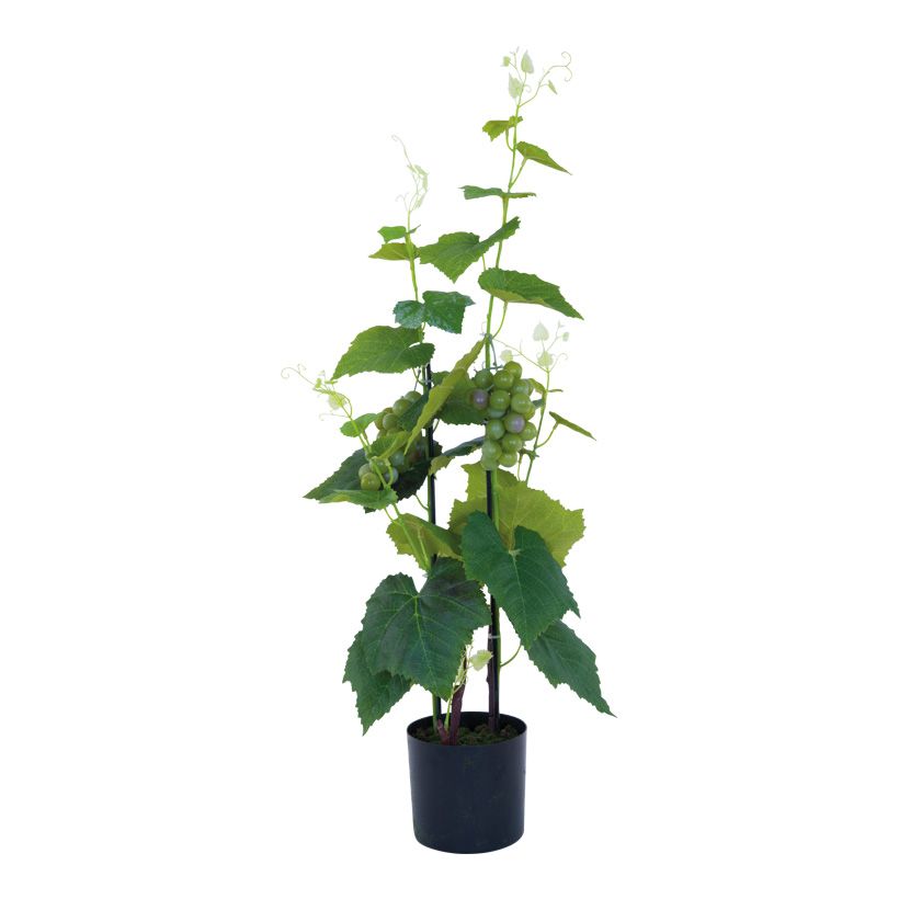 Grape plant in pot, 81cm Topf: 12,5x11,5cm out of plastic/artificial silk, in a pot, with green grapes
