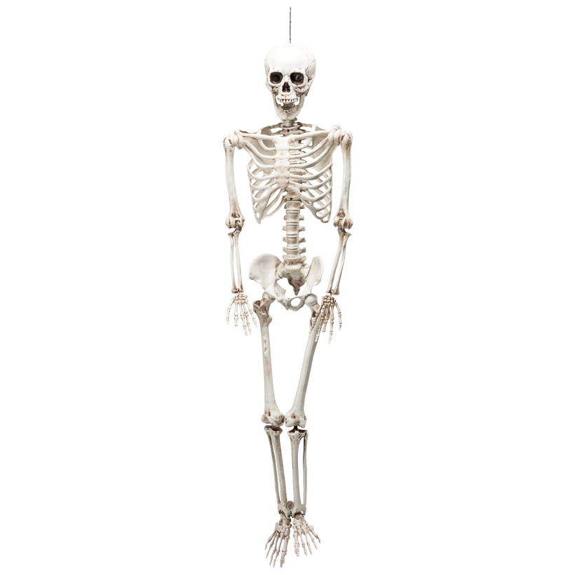 Skeleton, moveable, 200x70cm out of plastic, with hanger