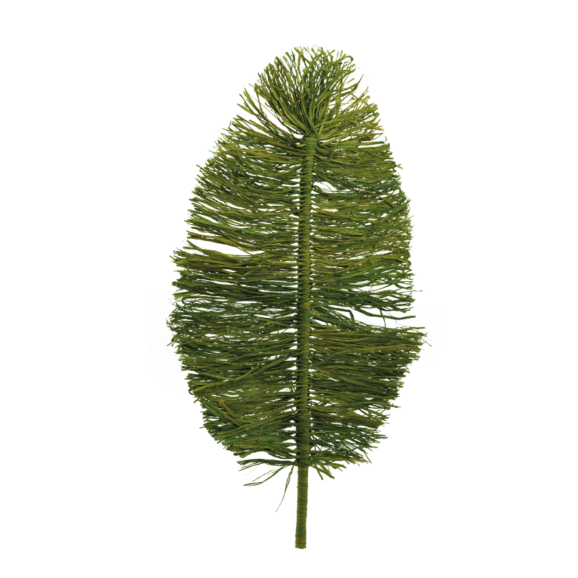 Raffia leaf, 90x52x2cm Stiel: 15cm out of natural material, flat