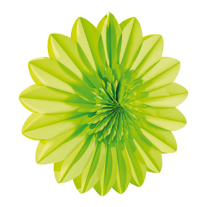 Flower rosette, 70cm out of paper, foldable, with hanger, self-adhesive