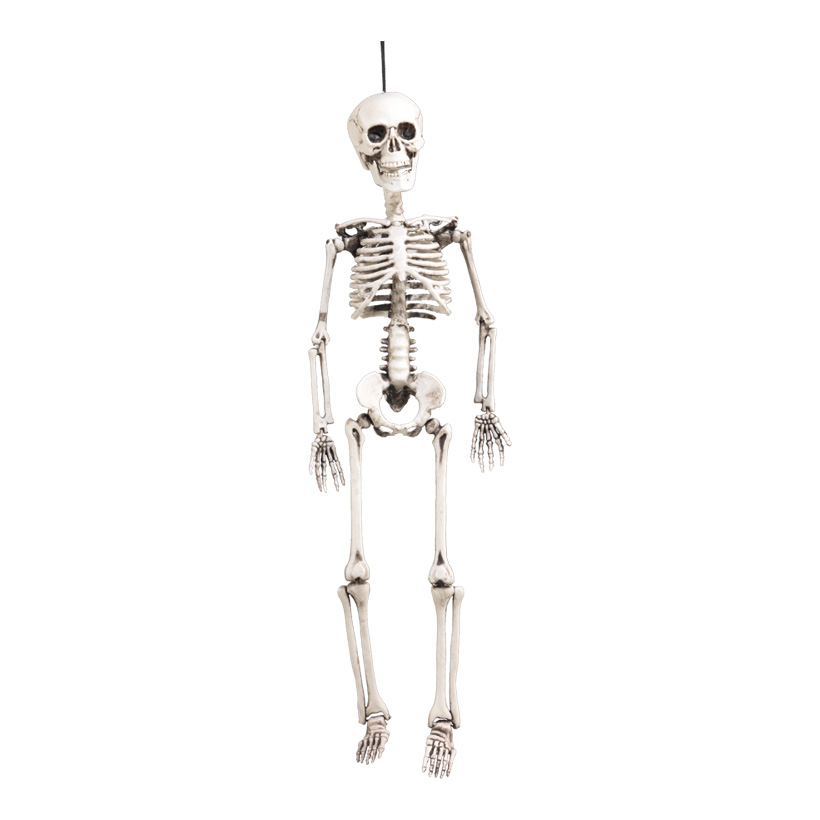 Skelett, 60x18cm, Kunststoff