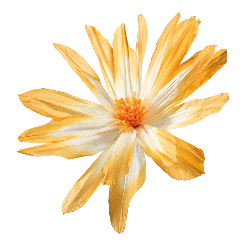 Flower head, _ 120cm Stiel: 34cm out of paper, flexible