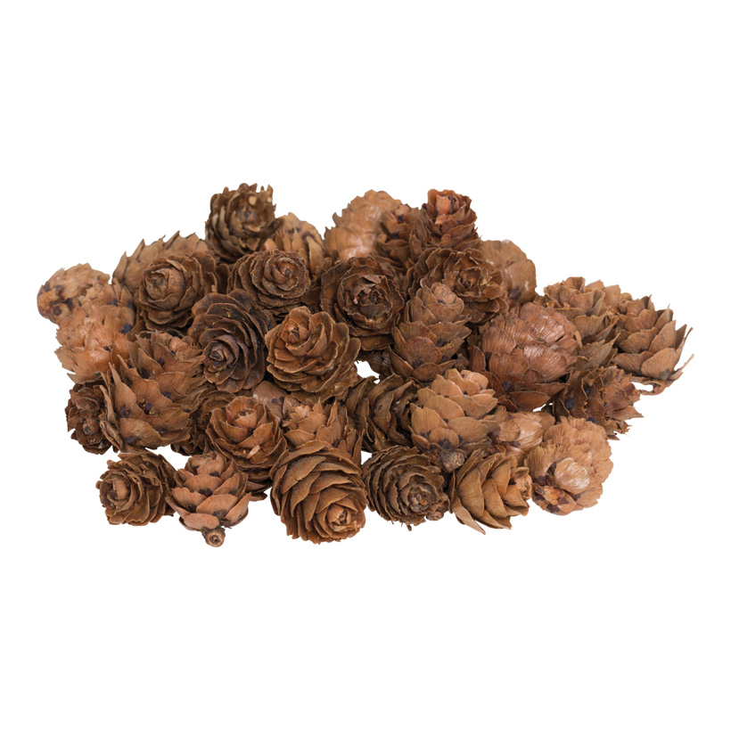 Mini-Zapfen, 100g/Blister, Holz