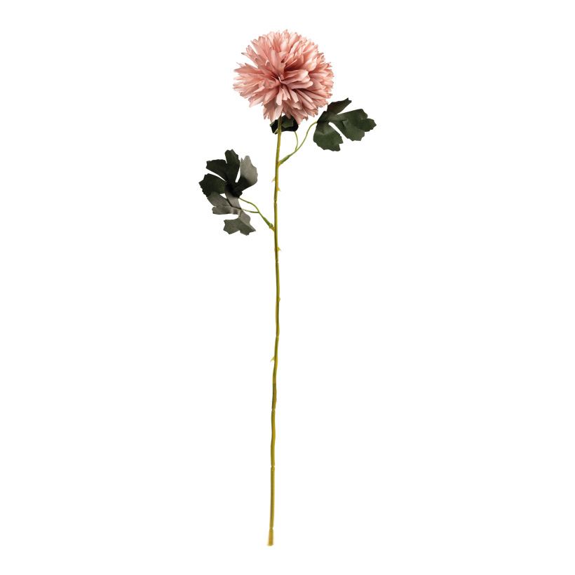 Chrysanthème sur tige, 55cm Ø10cm, Stiel: 35cm en plastique/soie synthétique, flexible