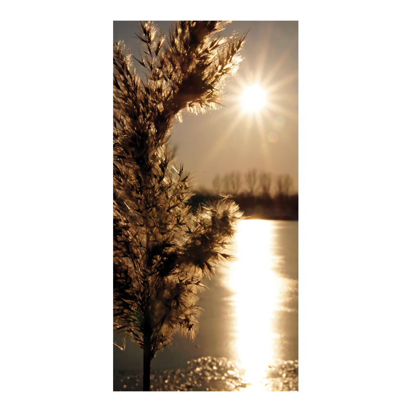 # Motivdruck "Schilf", 180x90cm Stoff