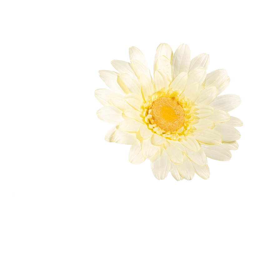 Margeritenblüte, 40cm aus Kunstseide, zum Hängen