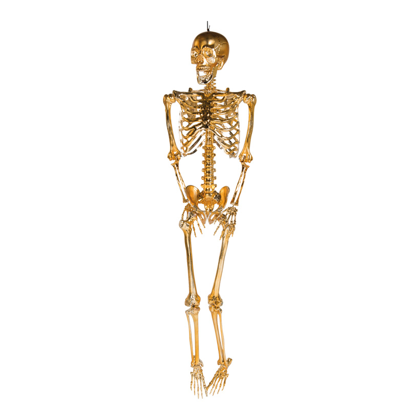 Skelett mit Hänger, 165cm beweglich, aus Kunststoff