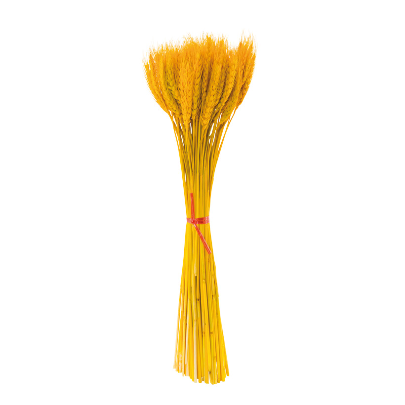 Weizenbündel, 50cm ca. 100 Halme, aus Naturmaterial, gebleicht