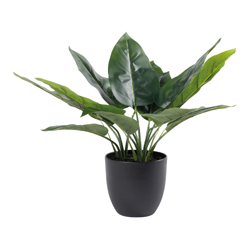 Aureum Bonsai in pot, 70cm Topf: Ø18cm 25 leaves, out of plastic/artificial silk