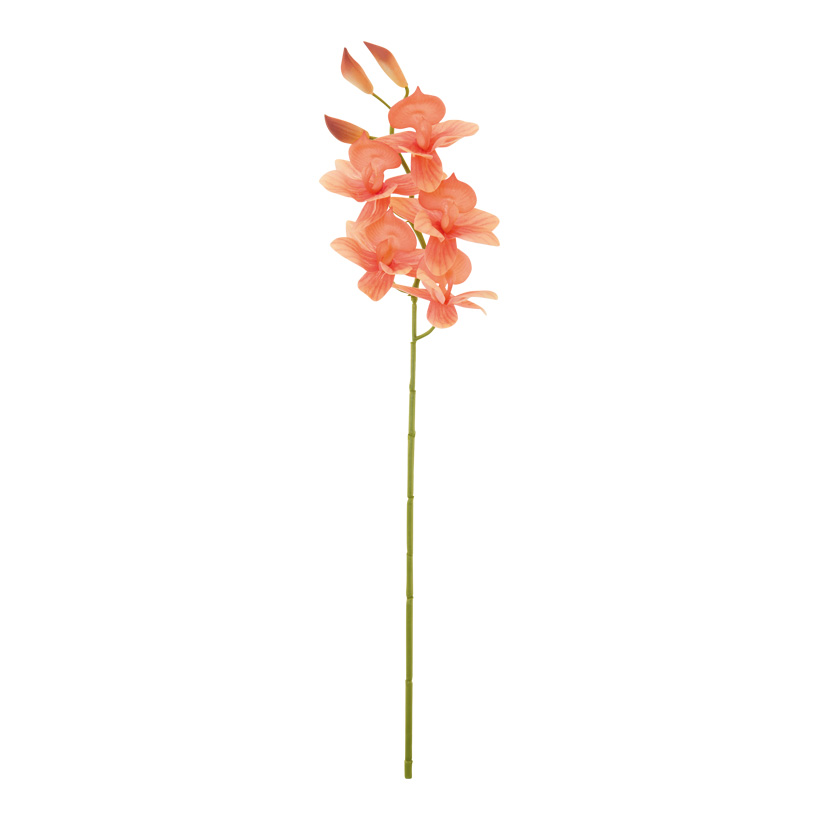 # Orchidee, 50cm 5 Blatt, aus Kunststoff