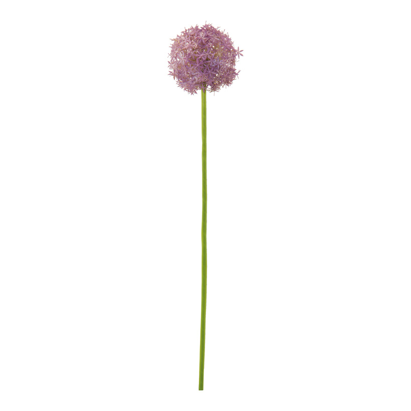 # Allium, 76cm  Ø 14cm aus Kunststoff
