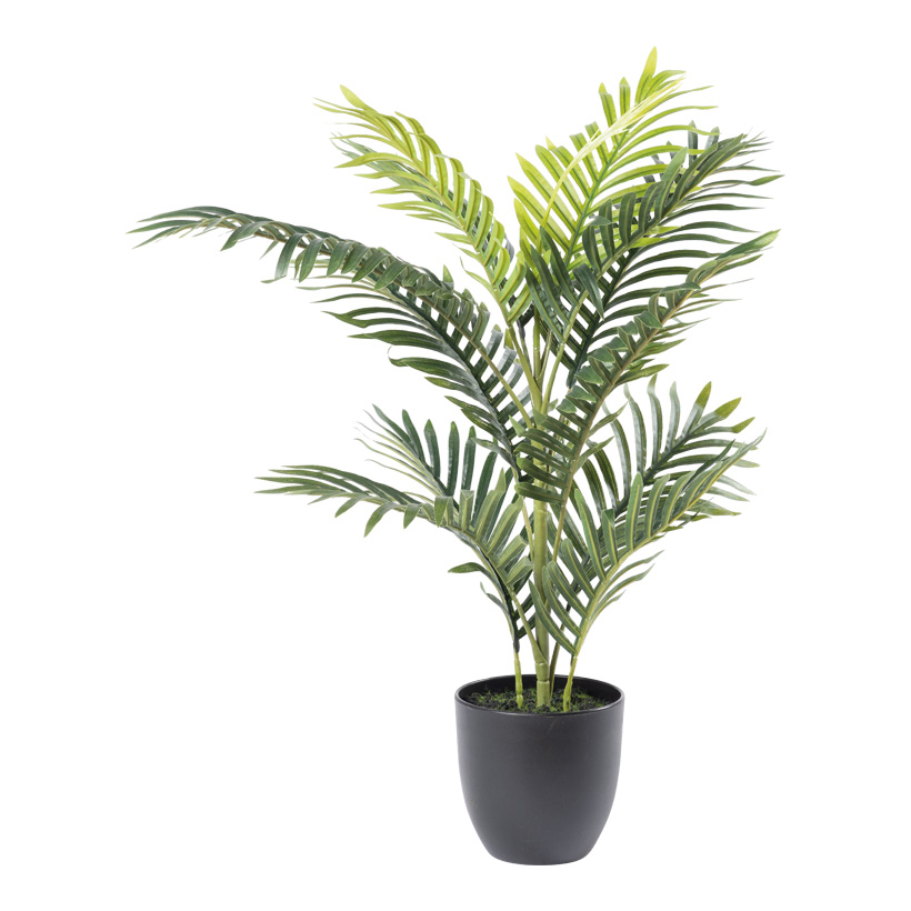 Areca palm, 75cm Topf: Ø16cm 12 PE leaves, out of plastic/artificial silk