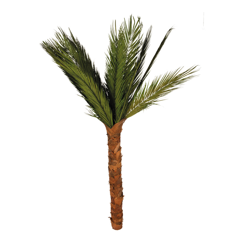 areca palm tree, 200cm dried, tinned natural material