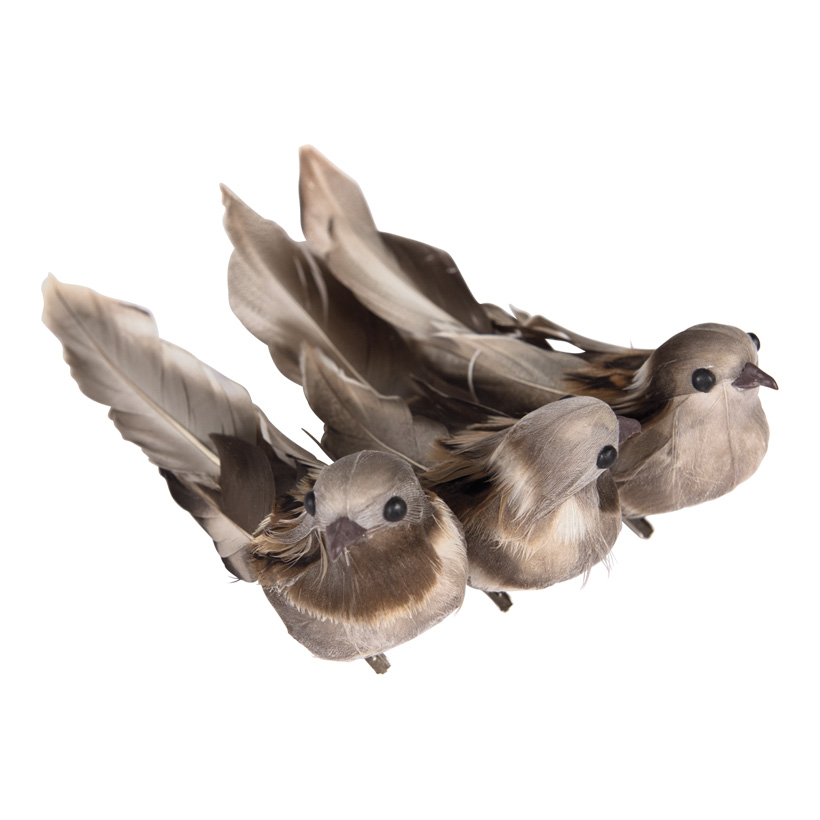 Sparrows with clip, 16cm with feathers, natural, set of 3 pieces