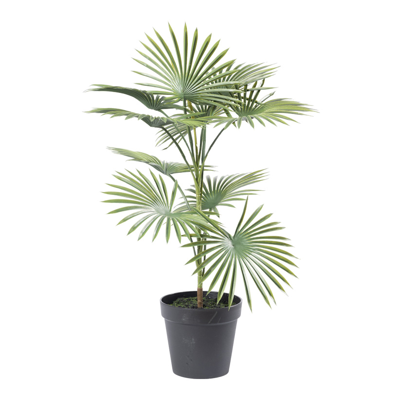 Palme im Topf, 80cm Topf: Ø 21,5cm 10 PE Blätter, aus Kunststoff/Kunstseide