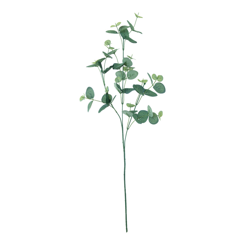 Eukalyptuszweig, 76cm künstlich
