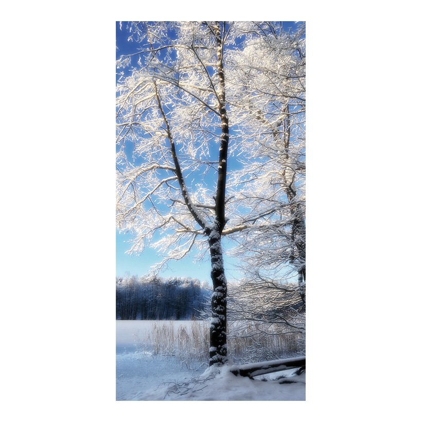 # Motivdruck "Baum im Raureif", 180x90cm Papier