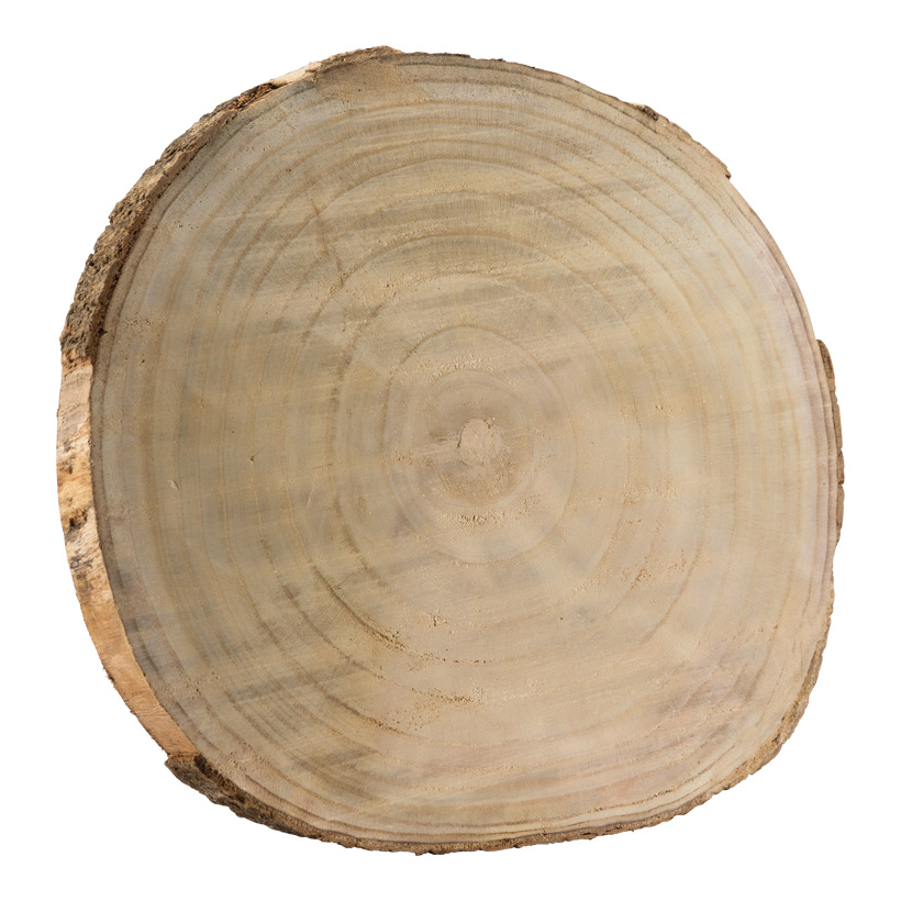 Wood slice, Ø 40cm Höhe: 4cm