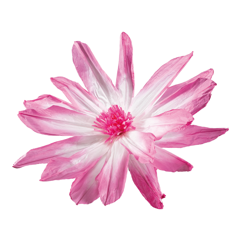 Flower head, _ 120cm Stiel: 34cm out of paper, flexible