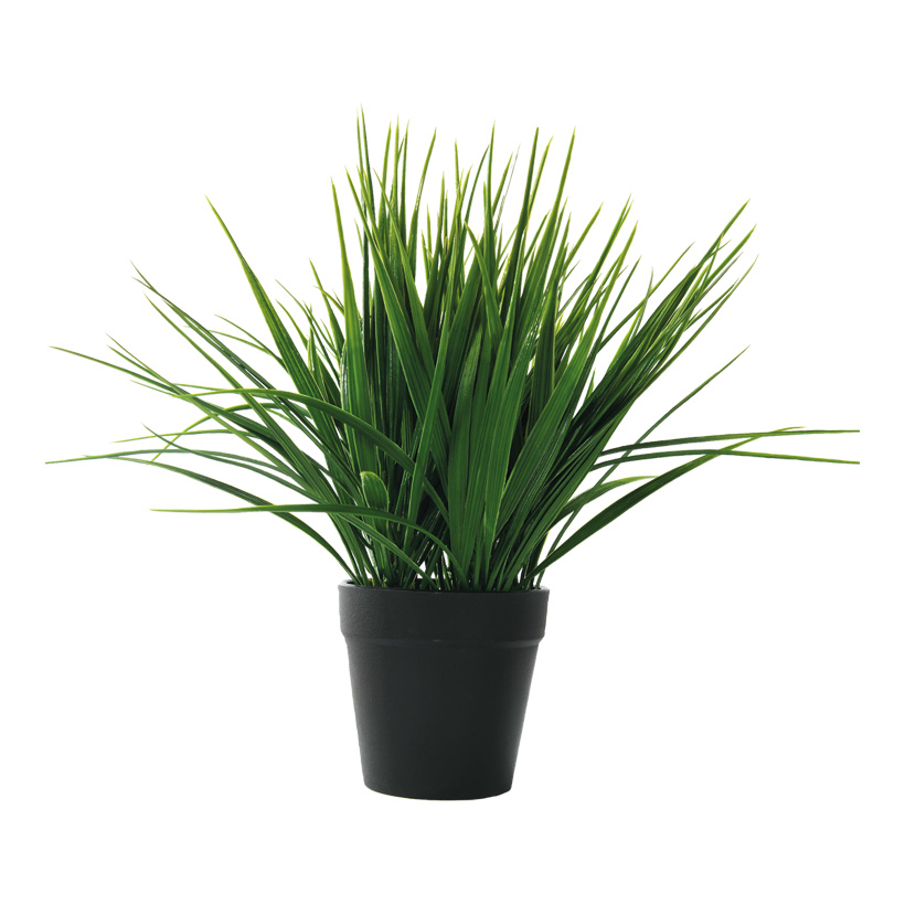 Gras im Topf, 28cm