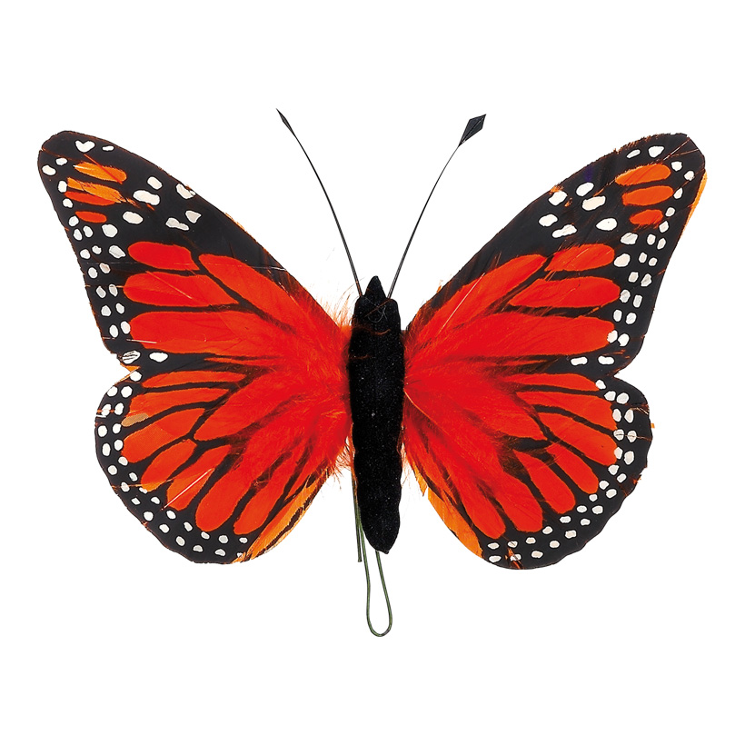 # Schmetterling 13x20 cm Federn