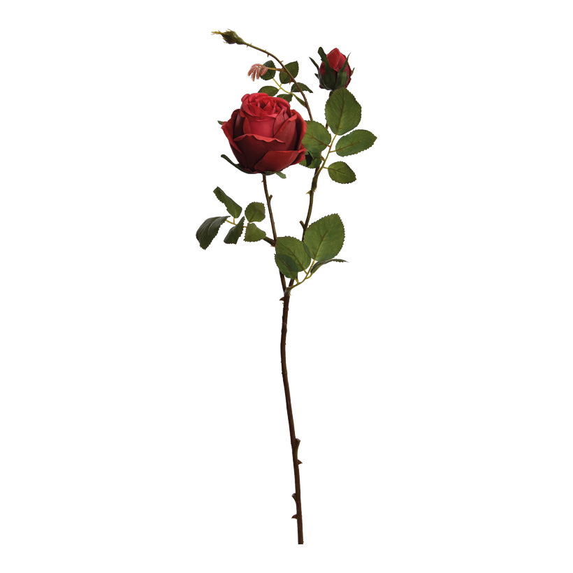 Rose sprig, 60cm 2-fold