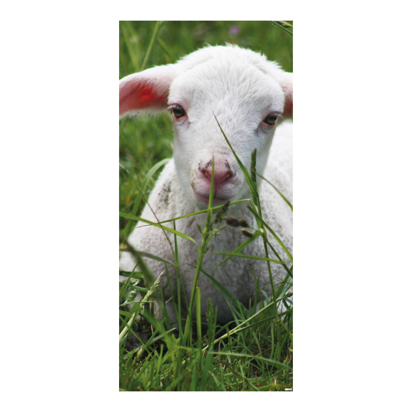 # Banner "Lamb", 180x90cm paper