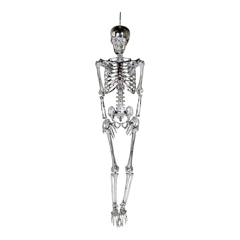 Skeleton with hanger, 165cm moveable, made of plastic