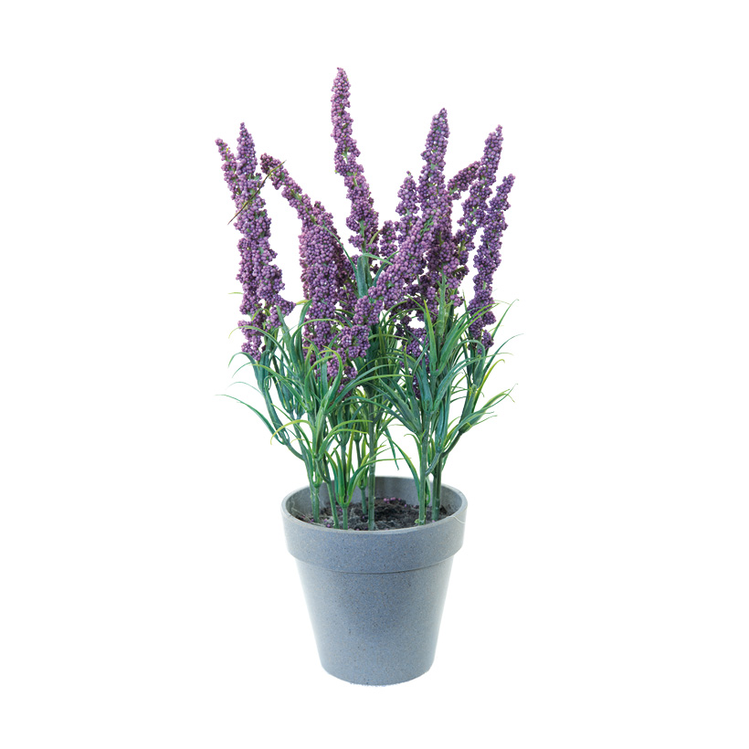 Lavendel im Topf, 30cm, Kunststoff